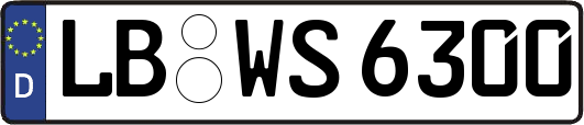 LB-WS6300