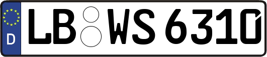 LB-WS6310