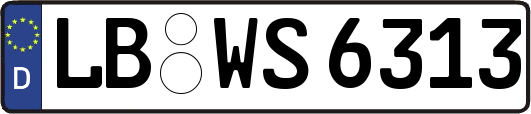 LB-WS6313
