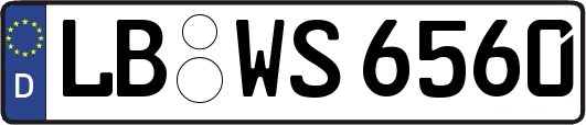 LB-WS6560