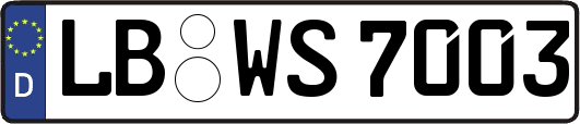 LB-WS7003