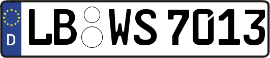 LB-WS7013