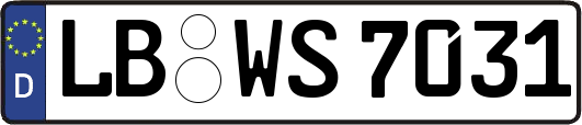 LB-WS7031