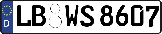 LB-WS8607