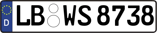 LB-WS8738