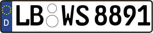 LB-WS8891