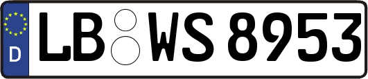 LB-WS8953