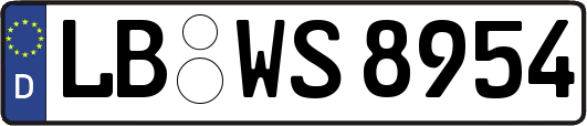 LB-WS8954