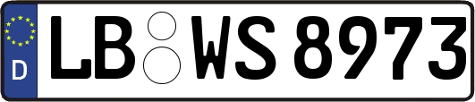 LB-WS8973
