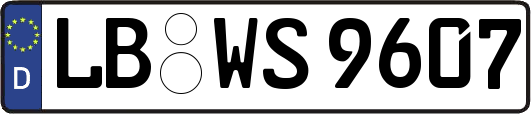 LB-WS9607