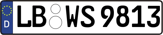 LB-WS9813