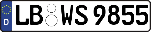 LB-WS9855