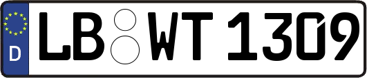 LB-WT1309