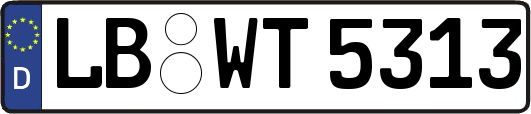 LB-WT5313