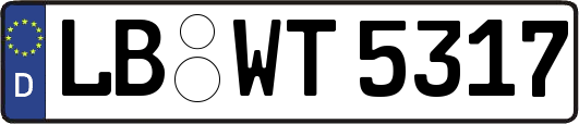 LB-WT5317