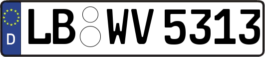 LB-WV5313