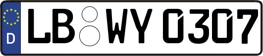 LB-WY0307