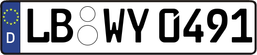 LB-WY0491