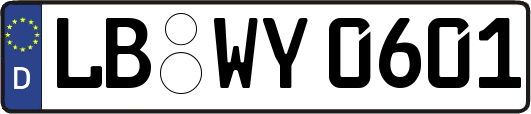 LB-WY0601