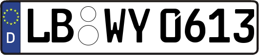 LB-WY0613