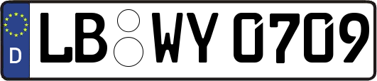 LB-WY0709