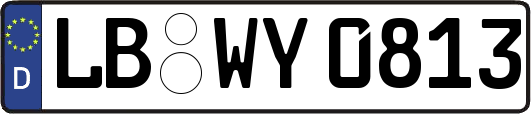 LB-WY0813