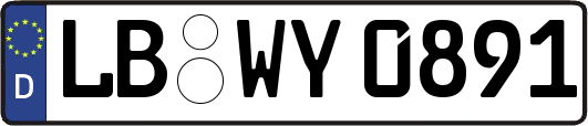 LB-WY0891