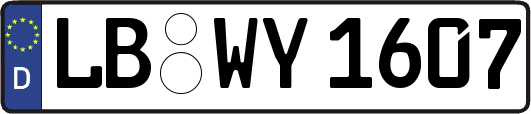 LB-WY1607