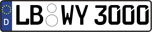 LB-WY3000