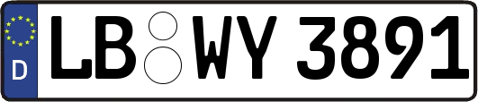 LB-WY3891