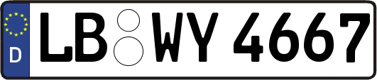 LB-WY4667