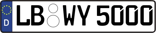 LB-WY5000