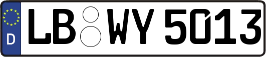 LB-WY5013