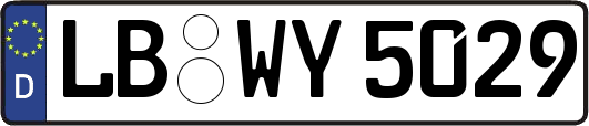 LB-WY5029