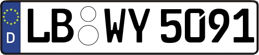 LB-WY5091