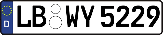 LB-WY5229