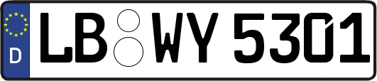 LB-WY5301