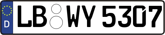 LB-WY5307