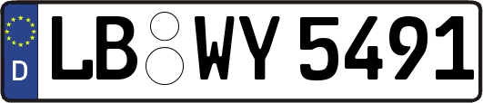 LB-WY5491