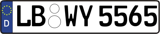 LB-WY5565