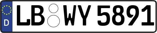LB-WY5891