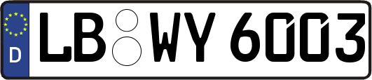 LB-WY6003
