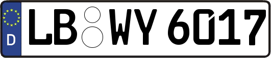 LB-WY6017
