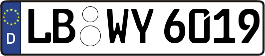 LB-WY6019