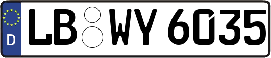 LB-WY6035
