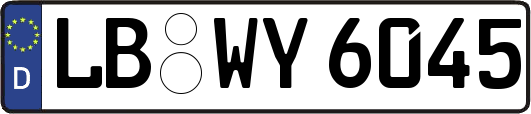 LB-WY6045