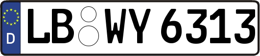 LB-WY6313