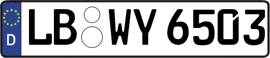 LB-WY6503