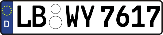 LB-WY7617