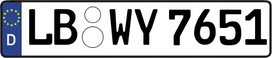 LB-WY7651